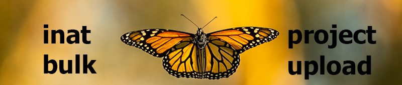 iNat Project Bulk Upload